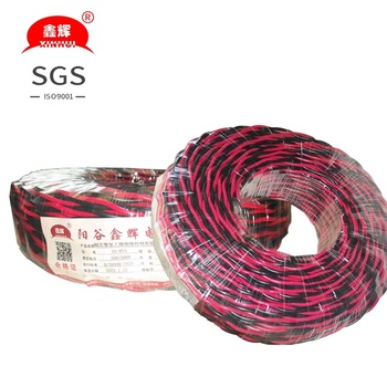 SZADP RVS 2*1.0mm2 electric cable 450/750V PVC twisted electric wire with the best price